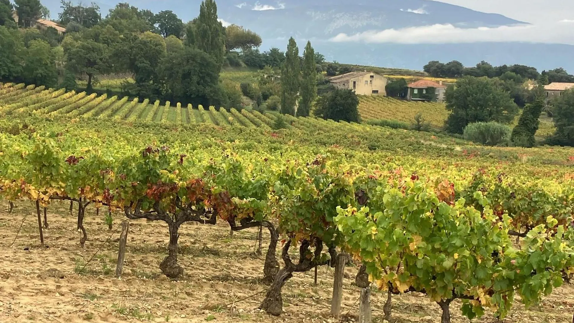 Holiday home La Clairiere Villa Pierrelongue