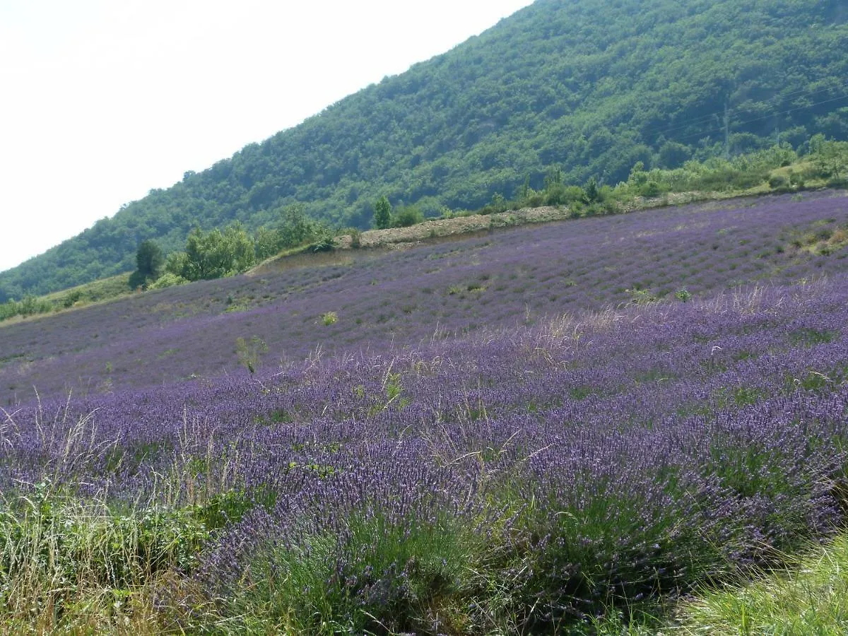 La Clairiere Villa Pierrelongue 0*,